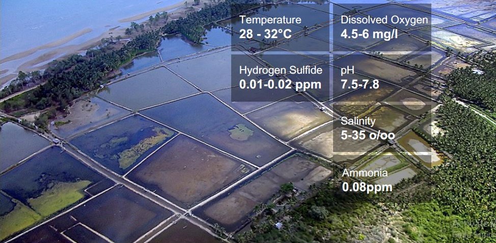 Shrimp Smart Farming